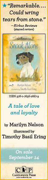 Candlewick: Snook Alone by Marilyn Nelson, illustrated by Timothy Basil Ering