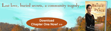 Waterbrook: The Bridge of Peace by Cindy Woodsmall